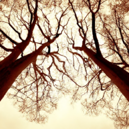 trees art